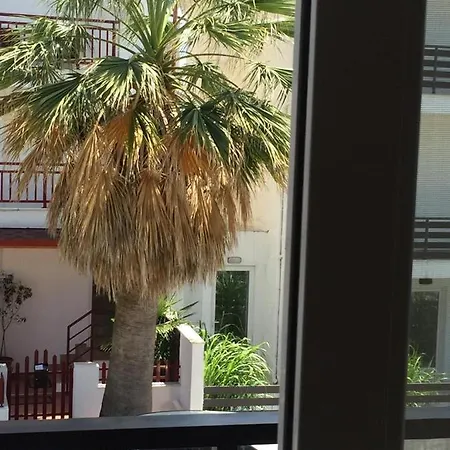 Apartman Thomas & *